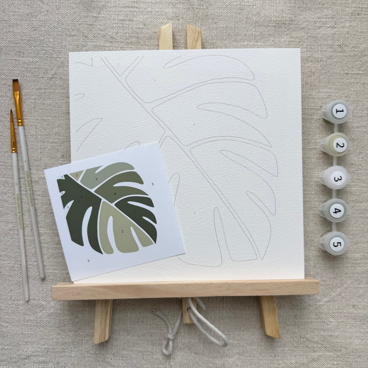 Kit de pintura por números "Monstera"