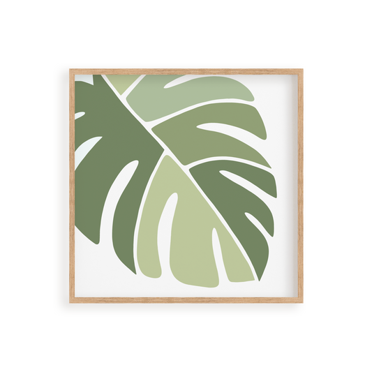 "Monstera" 8x8 Paint by Number Kit